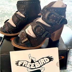 Freebird Violet Black Leather